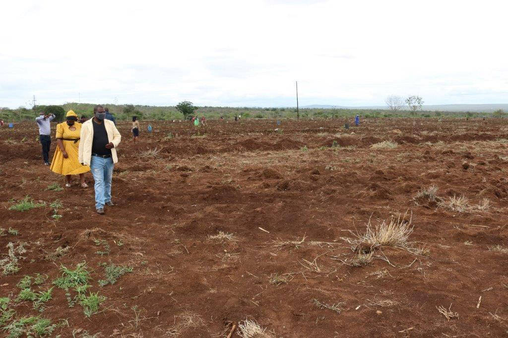 RISE HOME GROWN BIG BEND – NKILONGO PROJECT